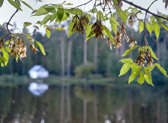 Similar image 292945