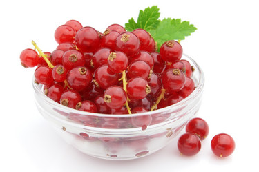 Similar image 292951