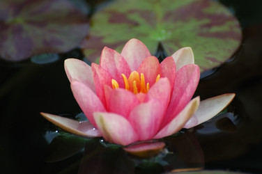 Similar image 292961