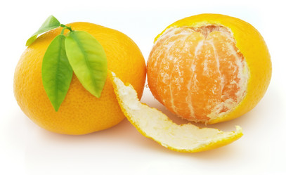 Similar image 293100