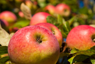 Similar image 293168