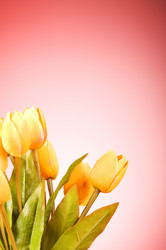 Similar image 293207