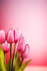 Similar image 293209