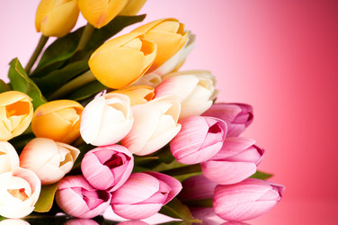 Similar image 293215