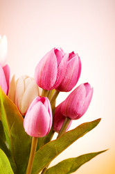 Similar image 293219