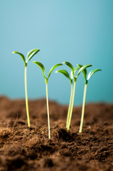 Similar image 293228