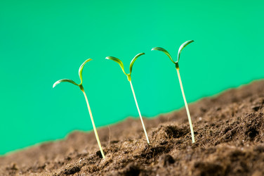 Similar image 293229