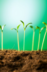 Similar image 293230