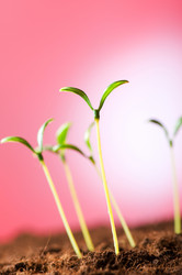 Similar image 293231