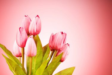 Similar image 293241