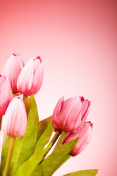 Similar image 293242