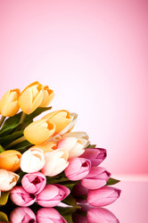 Similar image 293252