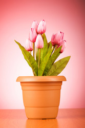 Similar image 293256