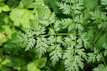 Similar image 293259