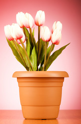 Similar image 293260