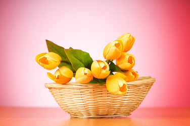 Similar image 293272