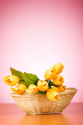 Similar image 293275