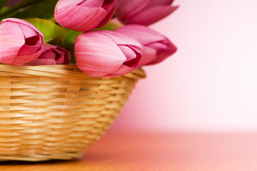 Similar image 293278