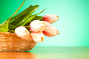 Similar image 293289