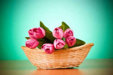 Similar image 293292