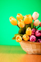 Similar image 293294