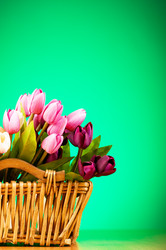 Similar image 293300