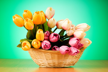 Similar image 293302