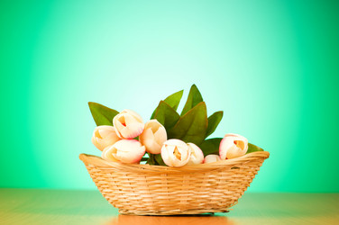 Similar image 293303