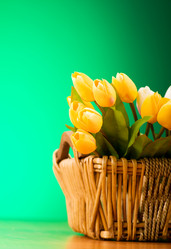 Similar image 293307