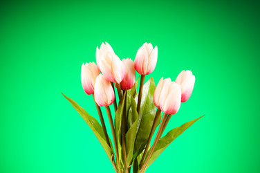 Similar image 293311