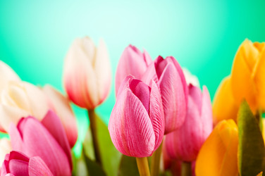 Similar image 293313