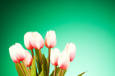 Similar image 293315