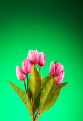 Similar image 293317