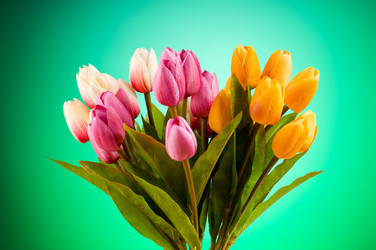 Similar image 293318