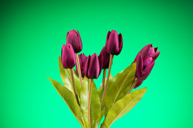 Similar image 293320