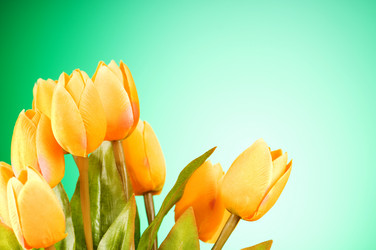 Similar image 293321