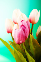 Similar image 293322