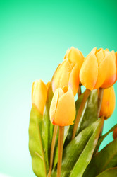 Similar image 293328