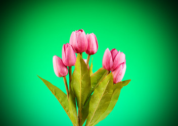 Similar image 293329