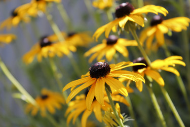 Similar image 293330