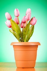 Similar image 293334