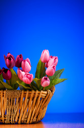 Similar image 293341