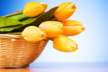 Similar image 293342