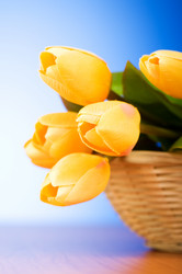 Similar image 293344