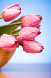 Similar image 293346