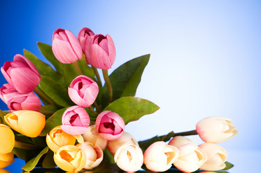 Similar image 293347