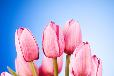 Similar image 293348