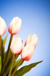 Similar image 293351