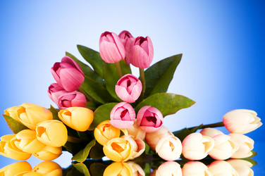 Similar image 293353