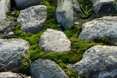 Similar image 293354